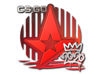Astralis | 2020 RMR image